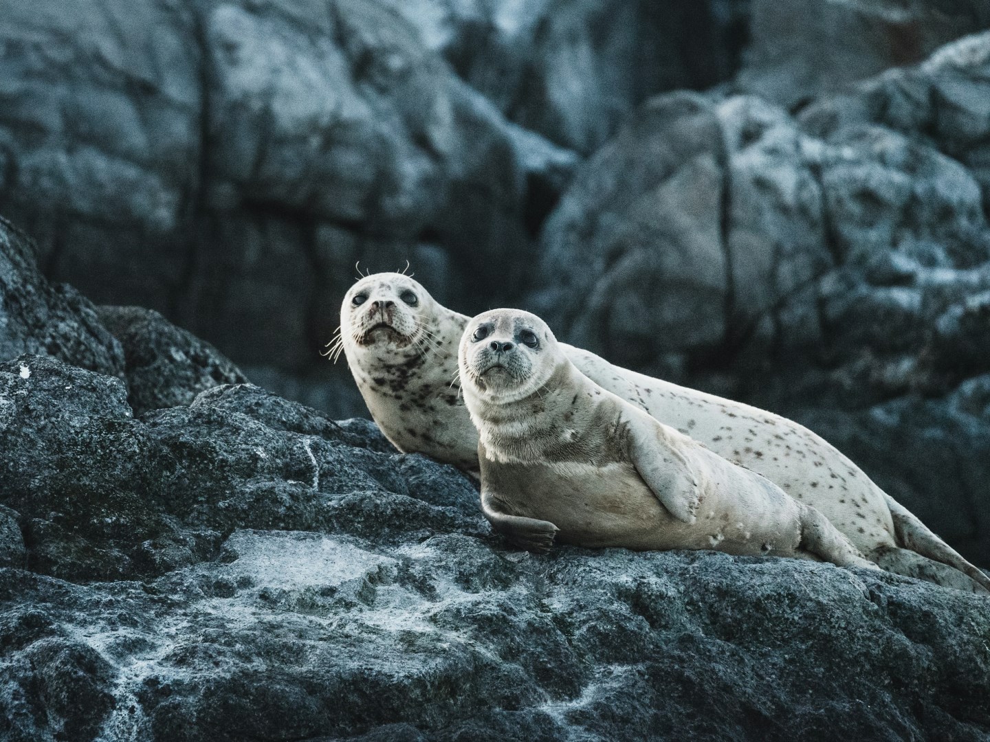  Photo Credit: Photo by Neil Cooper on Unsplash