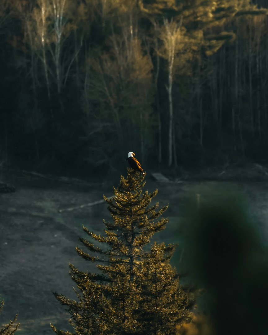  Photo Credit: Photo by Nick Martin on Unsplash