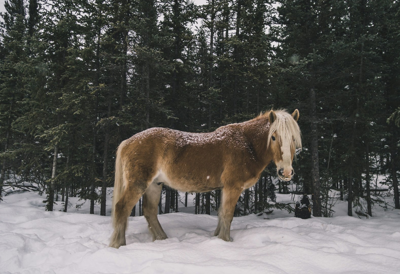  Photo Credit: Photo by Leonard Laub on Unsplash