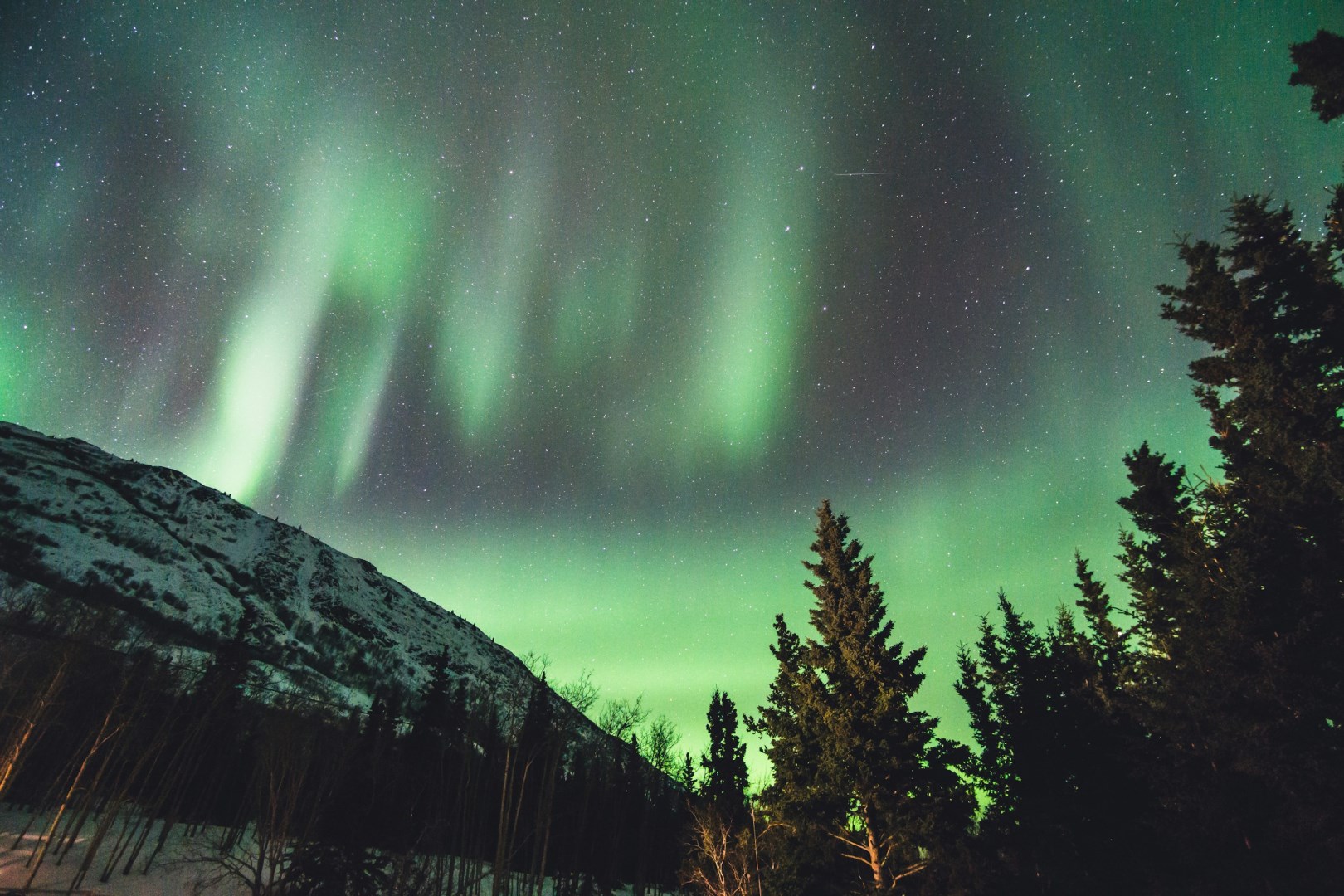  Photo Credit: Photo by Leonard Laub on Unsplash