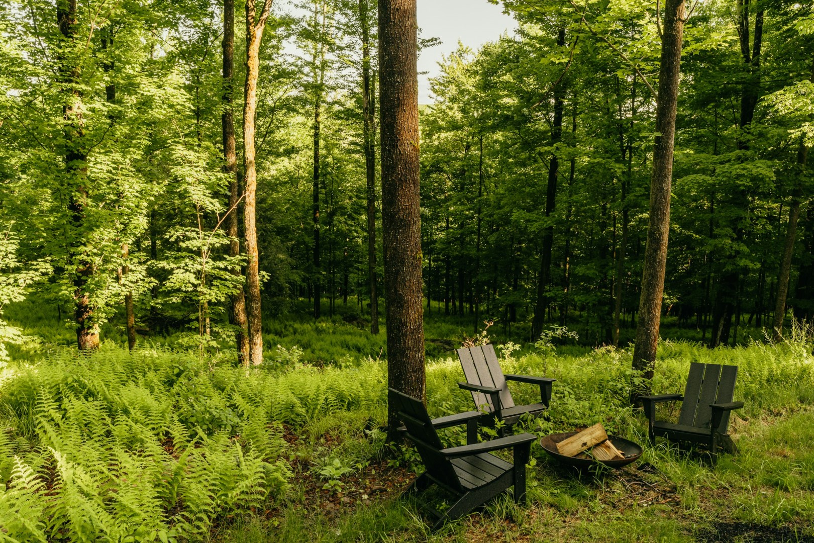  Photo Credit: Photo by Clay Banks on Unsplash