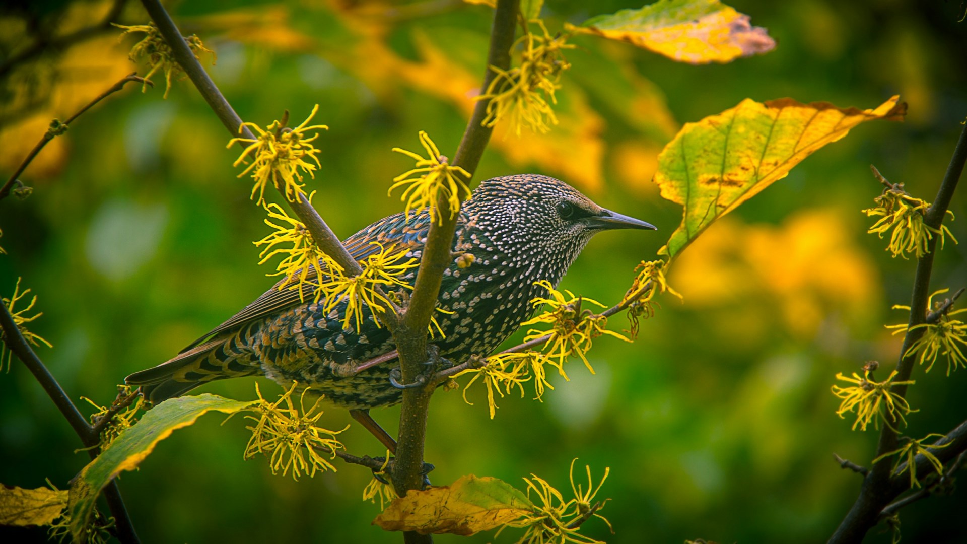  Photo Credit: Photo by Srikanta H. U on Unsplash