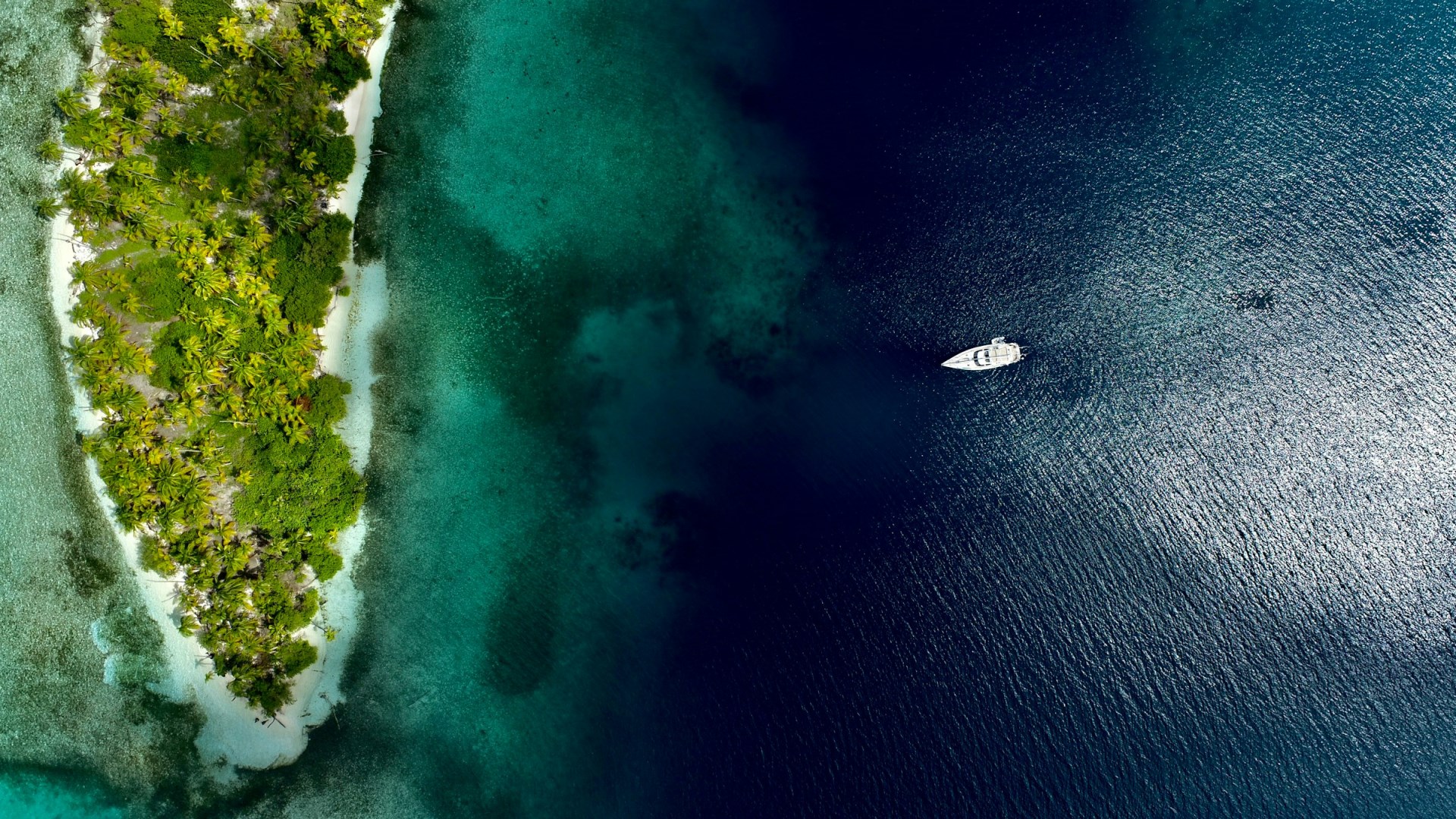  Photo Credit: Photo by Max Herrmann on Unsplash
