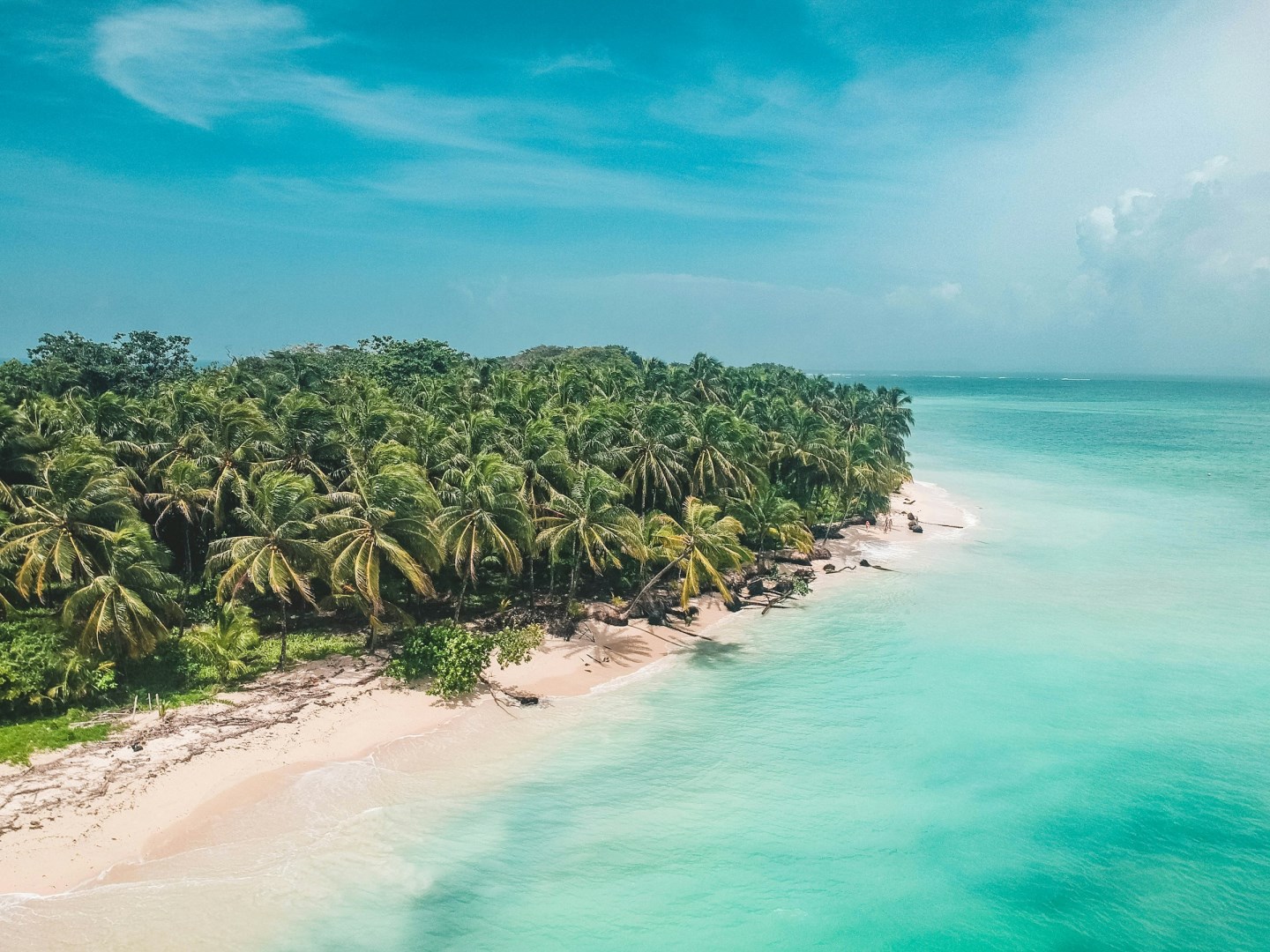  Photo Credit: Photo by Dresla on Unsplash