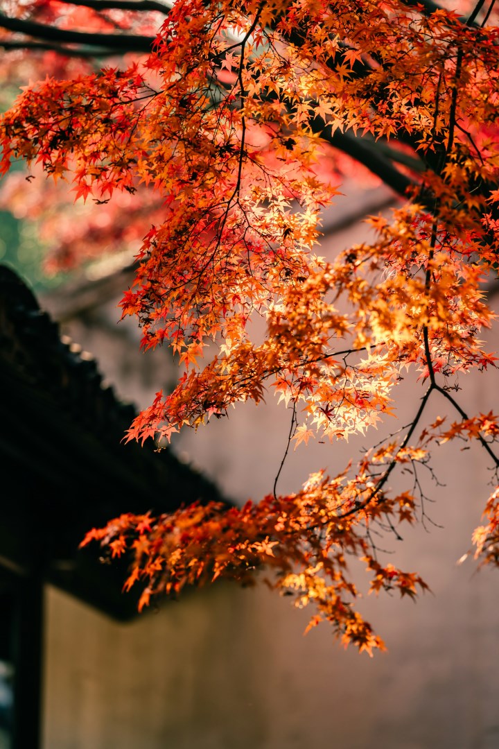 Wuxi