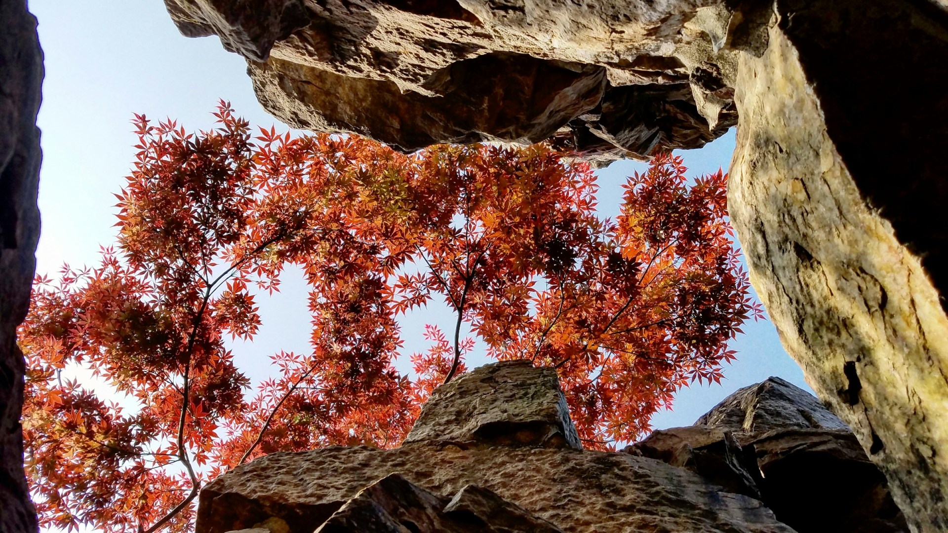  Photo Credit: Photo by Zhang qc on Unsplash