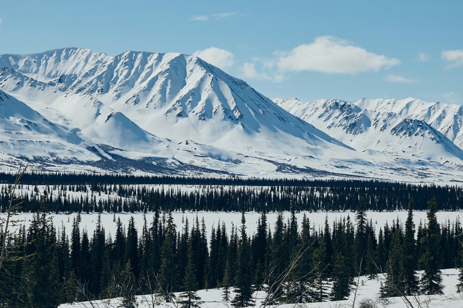  Photo Credit: Photo by Richard Lu on Unsplash