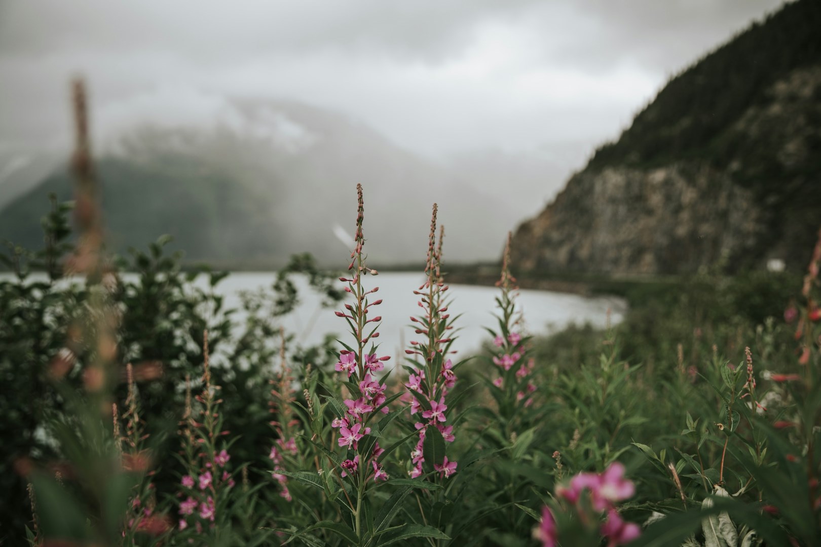  Photo Credit: Photo by Taylor Murphy on Unsplash