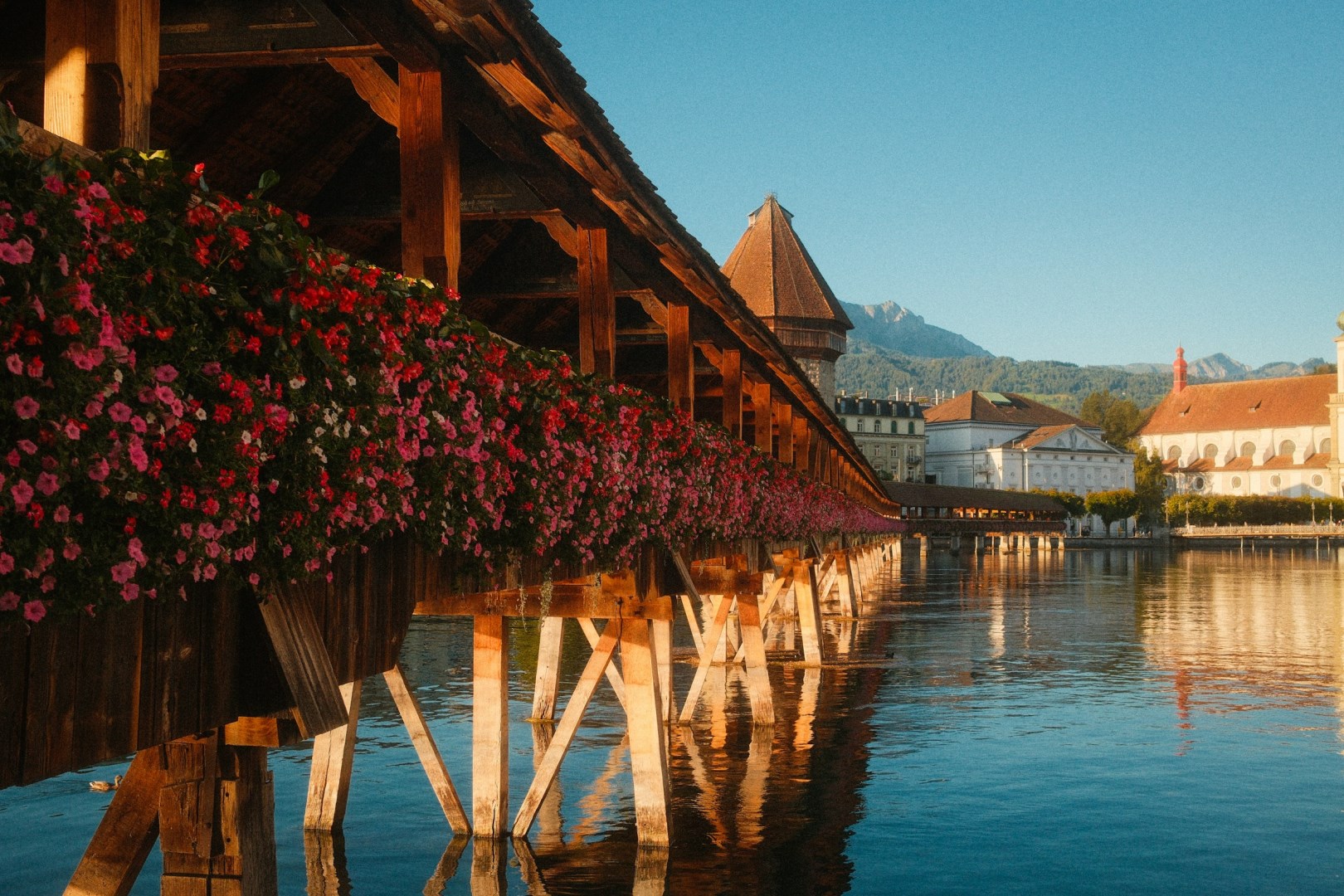  Photo Credit: Photo by Karsten Winegeart on Unsplash