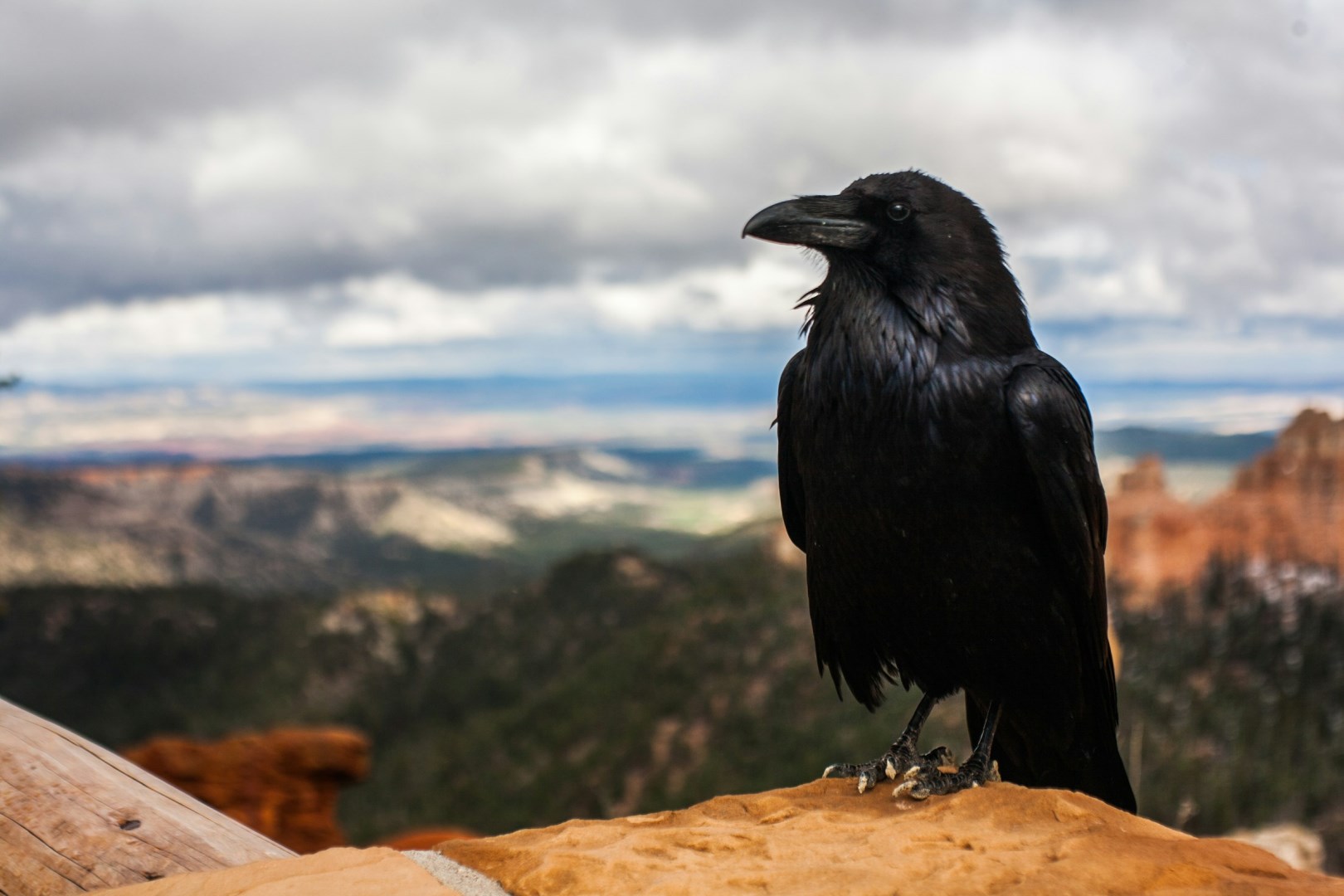  Photo Credit: Photo by Tyler Quiring on Unsplash