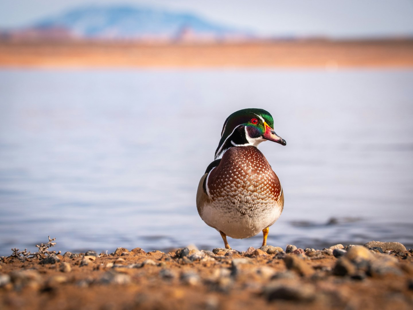  Photo Credit: Photo by Colter Olmstead on Unsplash