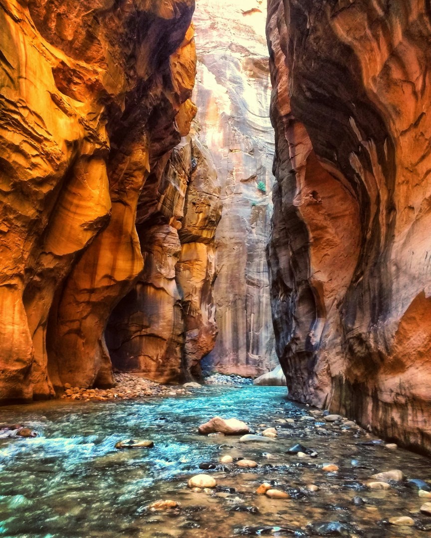  Photo Credit: Photo by Karan Chawla on Unsplash