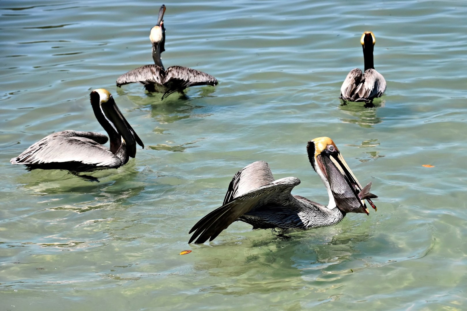 Coquina Beach - Photo Credit: Photo by Jeffrey Eisen on Unsplash
