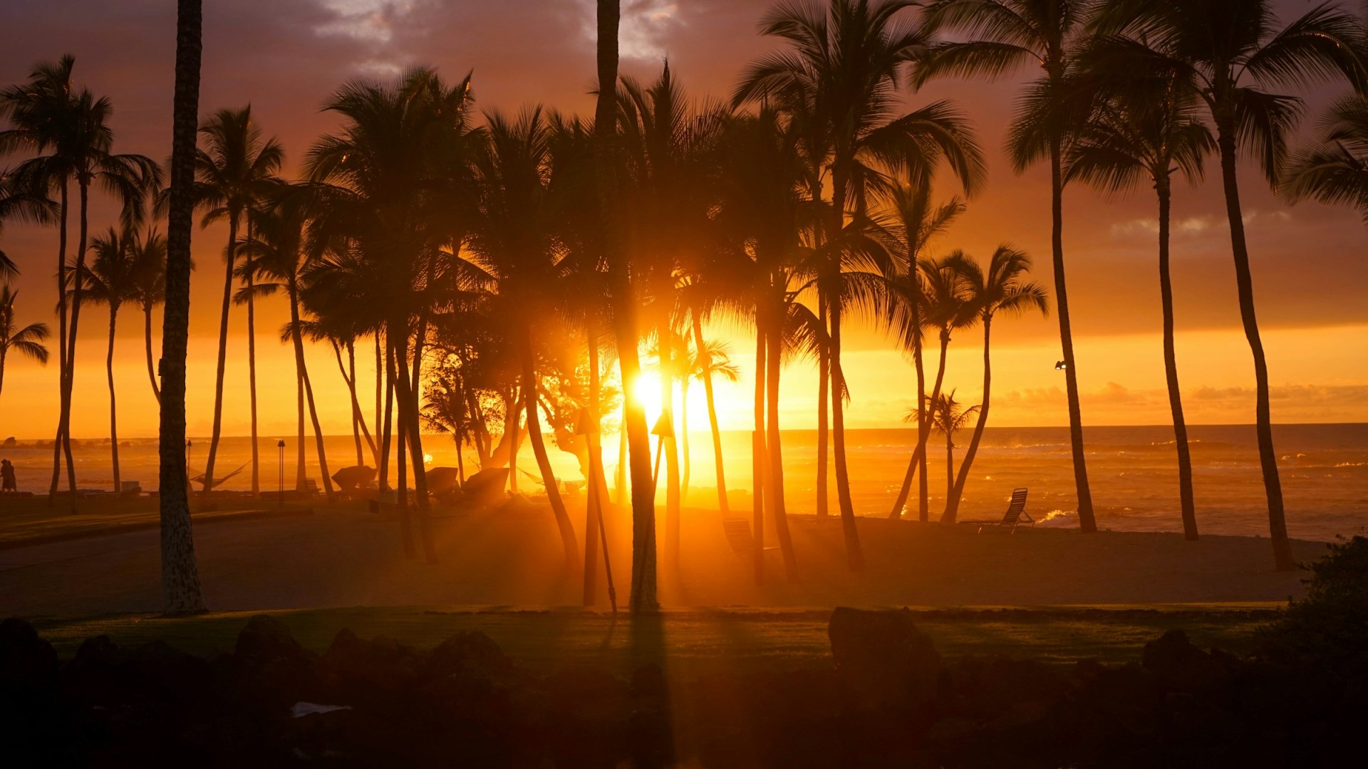 Photo Credit: Photo by Michael Olsen on Unsplash
