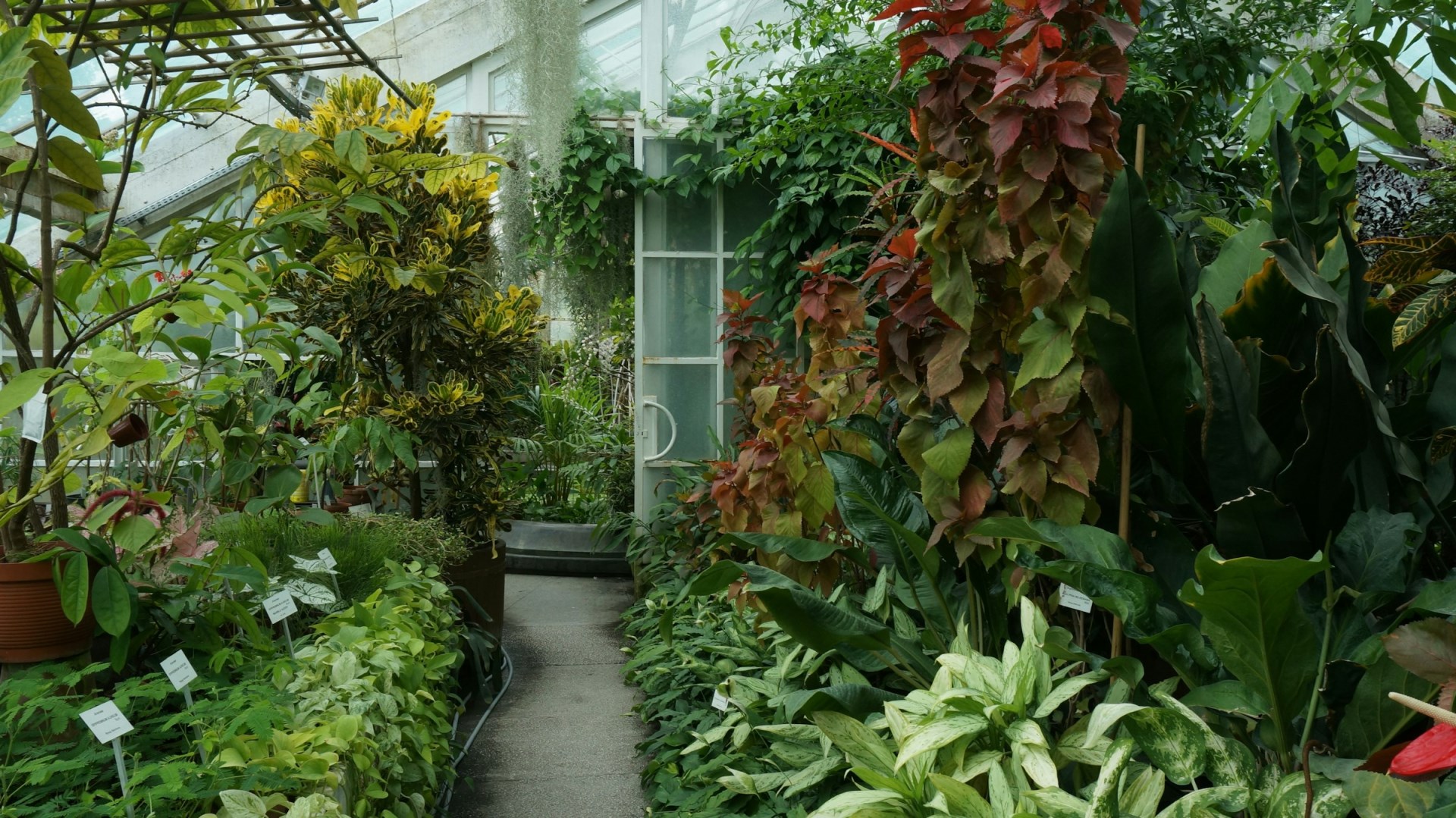 Jagiellonian University Botanical Graden - Photo Credit: Photo by Uliana Sova on Unsplash