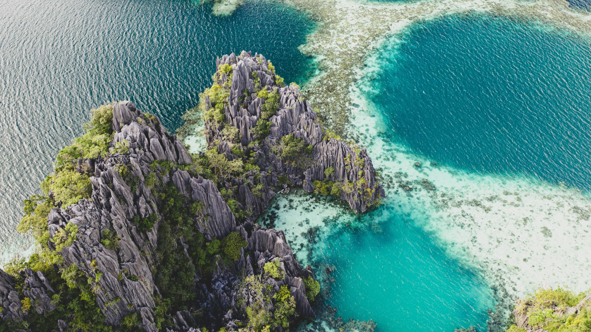  Photo Credit: Photo by Karl Paul Baldacchino on Unsplash