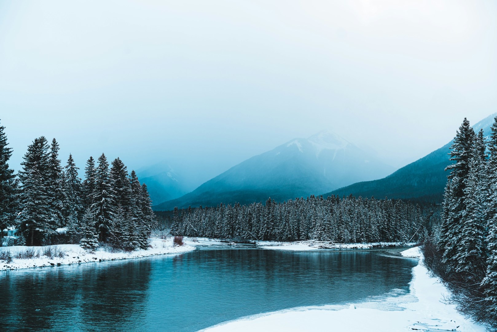  Photo Credit: Photo by Matthew Sichkaruk on Unsplash