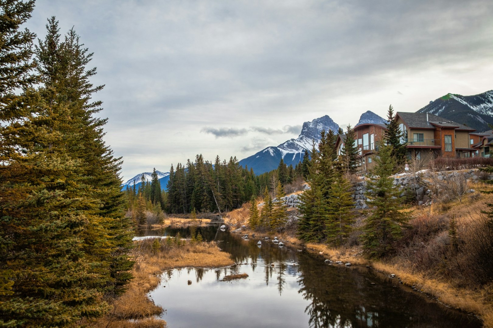  Photo Credit: Photo by Dan Hamill on Unsplash