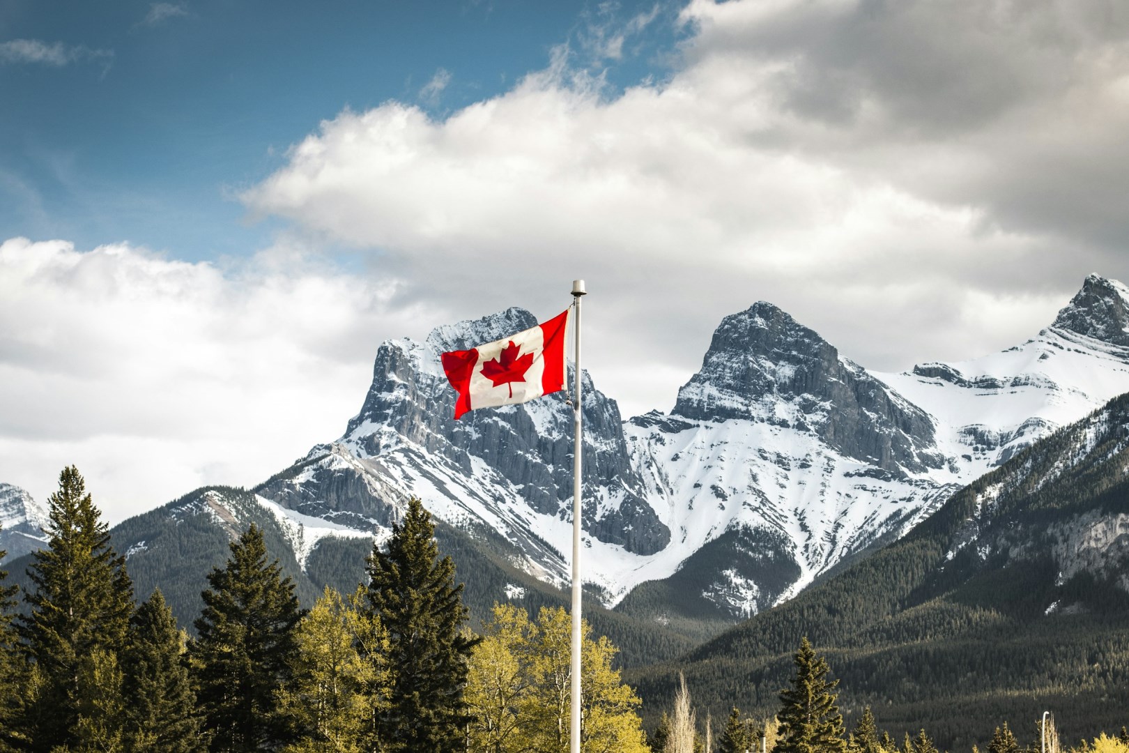  Photo Credit: Photo by Igor Kyryliuk & Tetiana Kravchenko on Unsplash