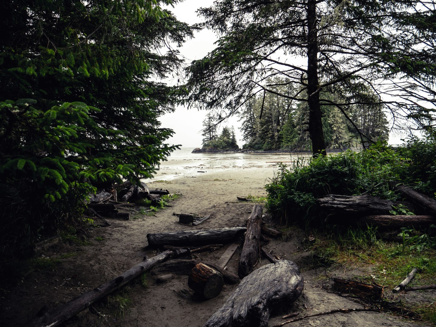  Photo Credit: Photo by Andre Gaulin on Unsplash