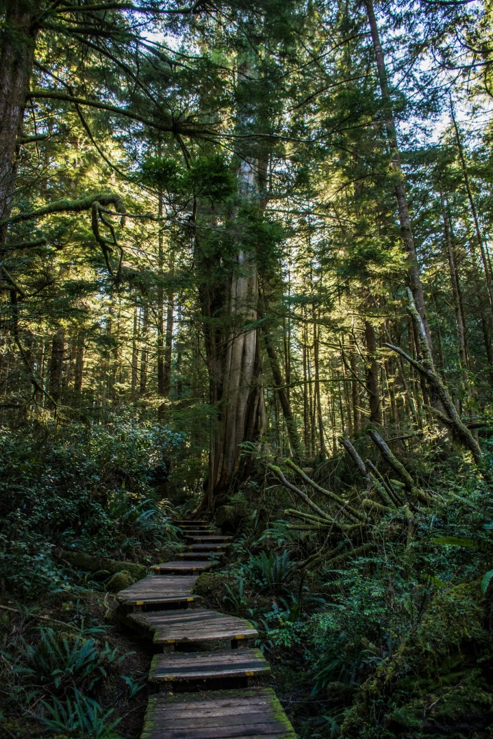  Photo Credit: Photo by Sharissa Johnson on Unsplash