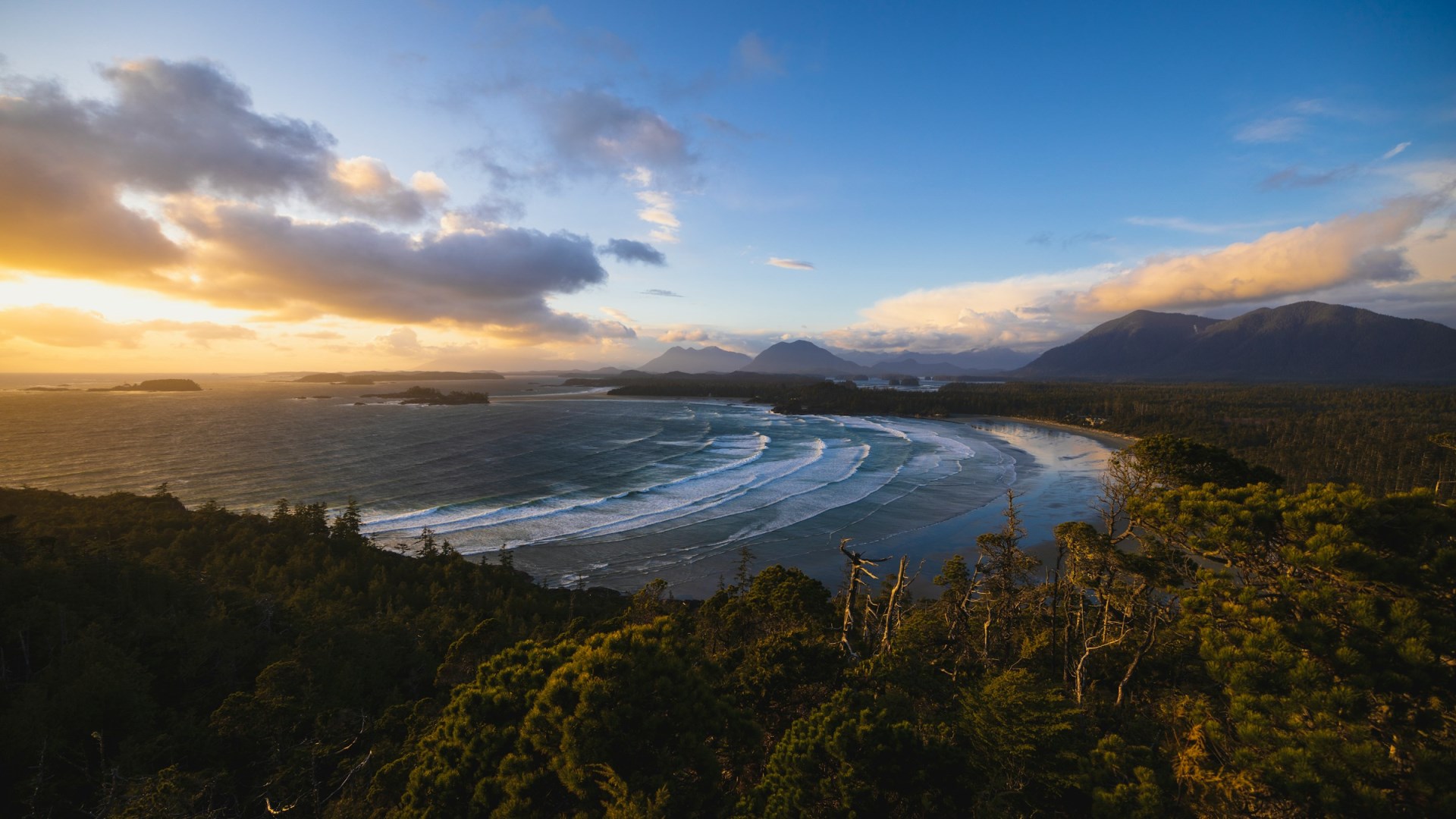  Photo Credit: Photo by Perry Kibler on Unsplash