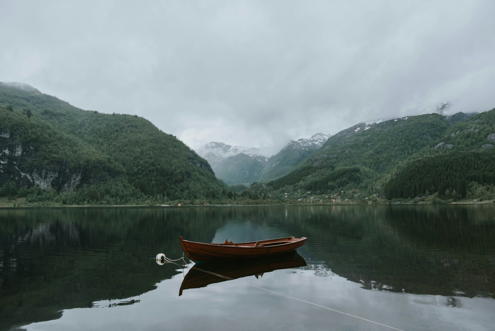  Photo Credit: Photo by Wes Grant on Unsplash