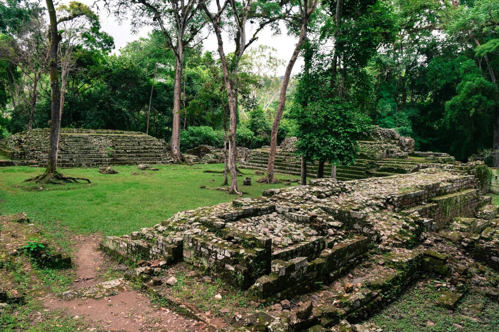  Photo Credit: Photo by D-Fotografia Honduras on Unsplash