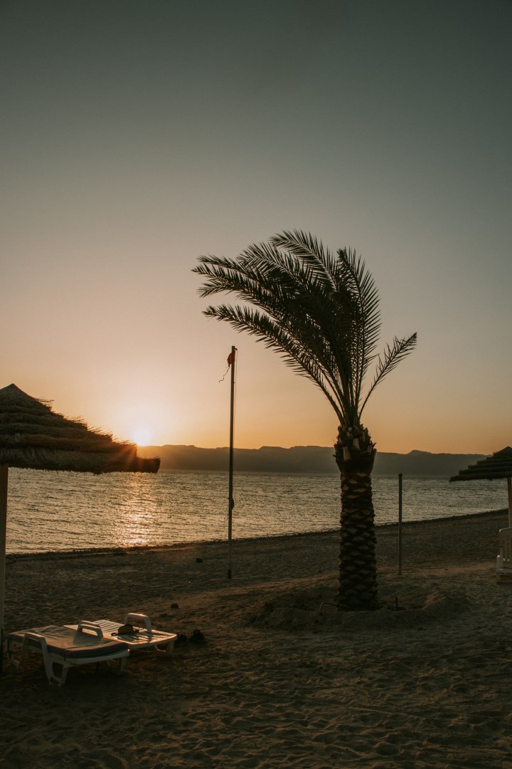  Photo Credit: Photo by Bogdan Nanescu on Unsplash
