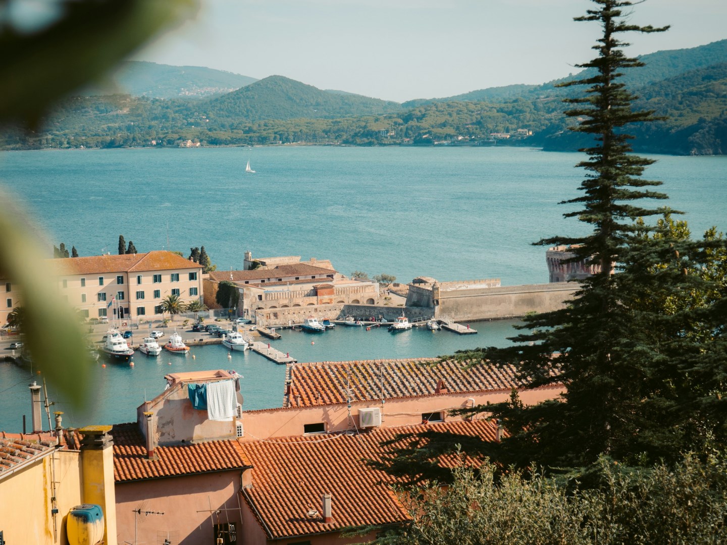  Photo Credit: Photo by Bjorn Agerbeek on Unsplash