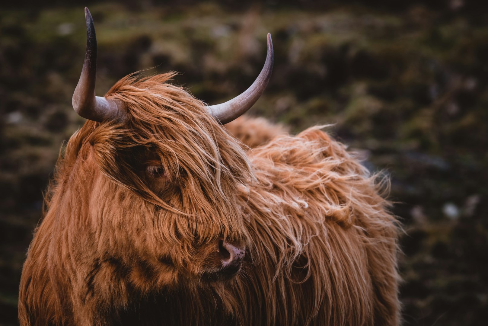  Photo Credit: Photo by Presetbase Lightroom Presets on Unsplash