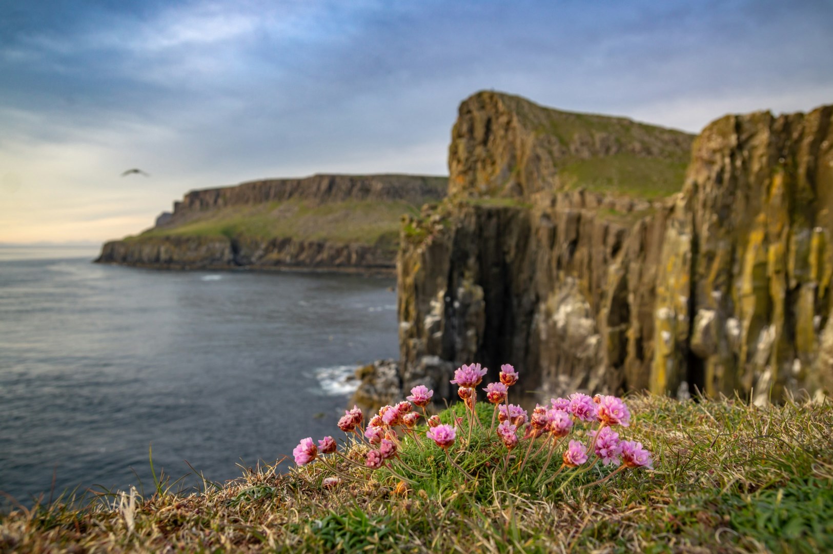 Neist Point - Photo Credit: Photo by Piotr Musioł on Unsplash
