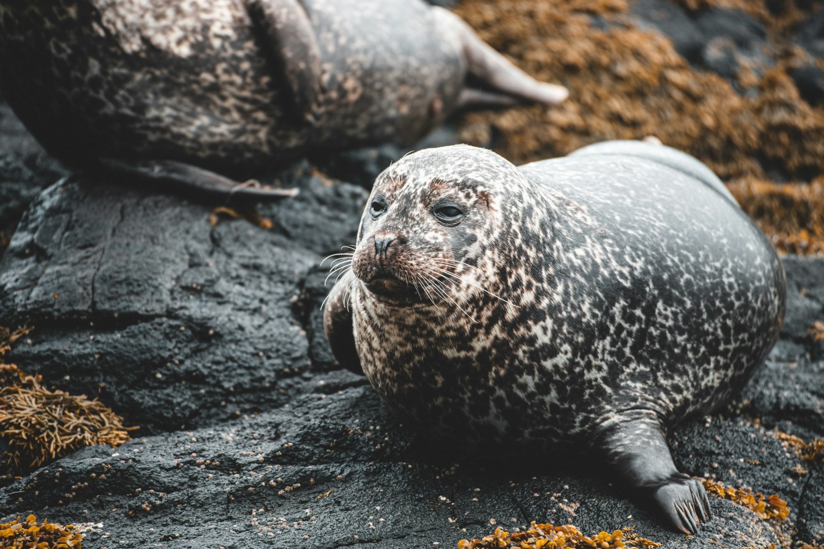  Photo Credit: Photo by Thomas Bonometti on Unsplash