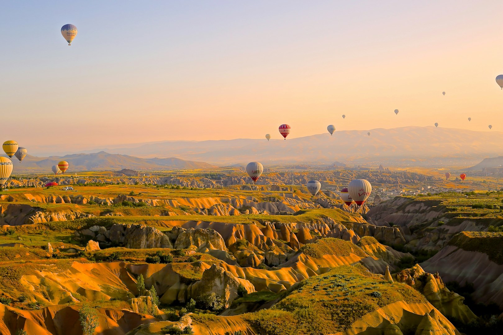  Photo Credit: Photo by Daniela Cuevas on Unsplash