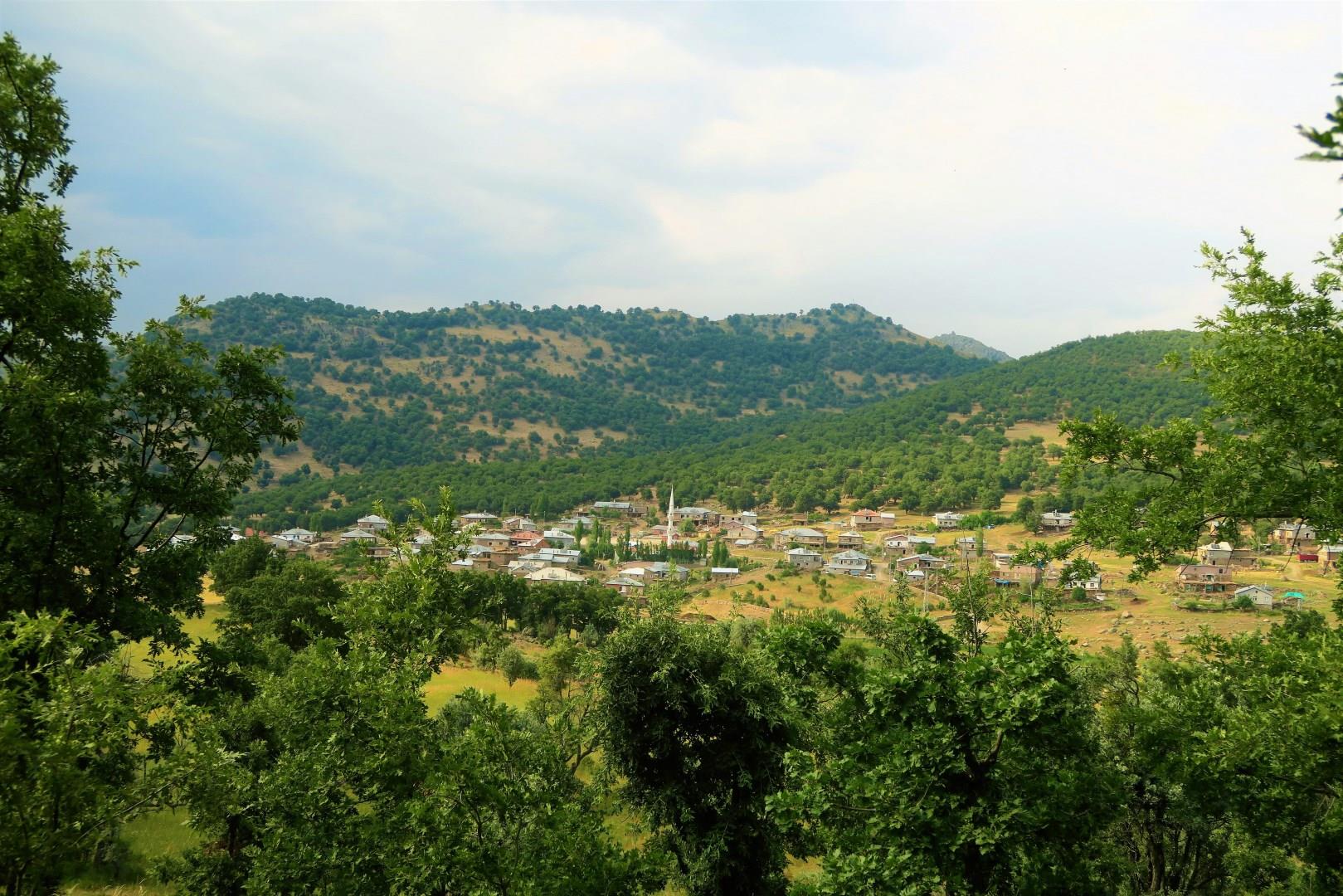 Konya