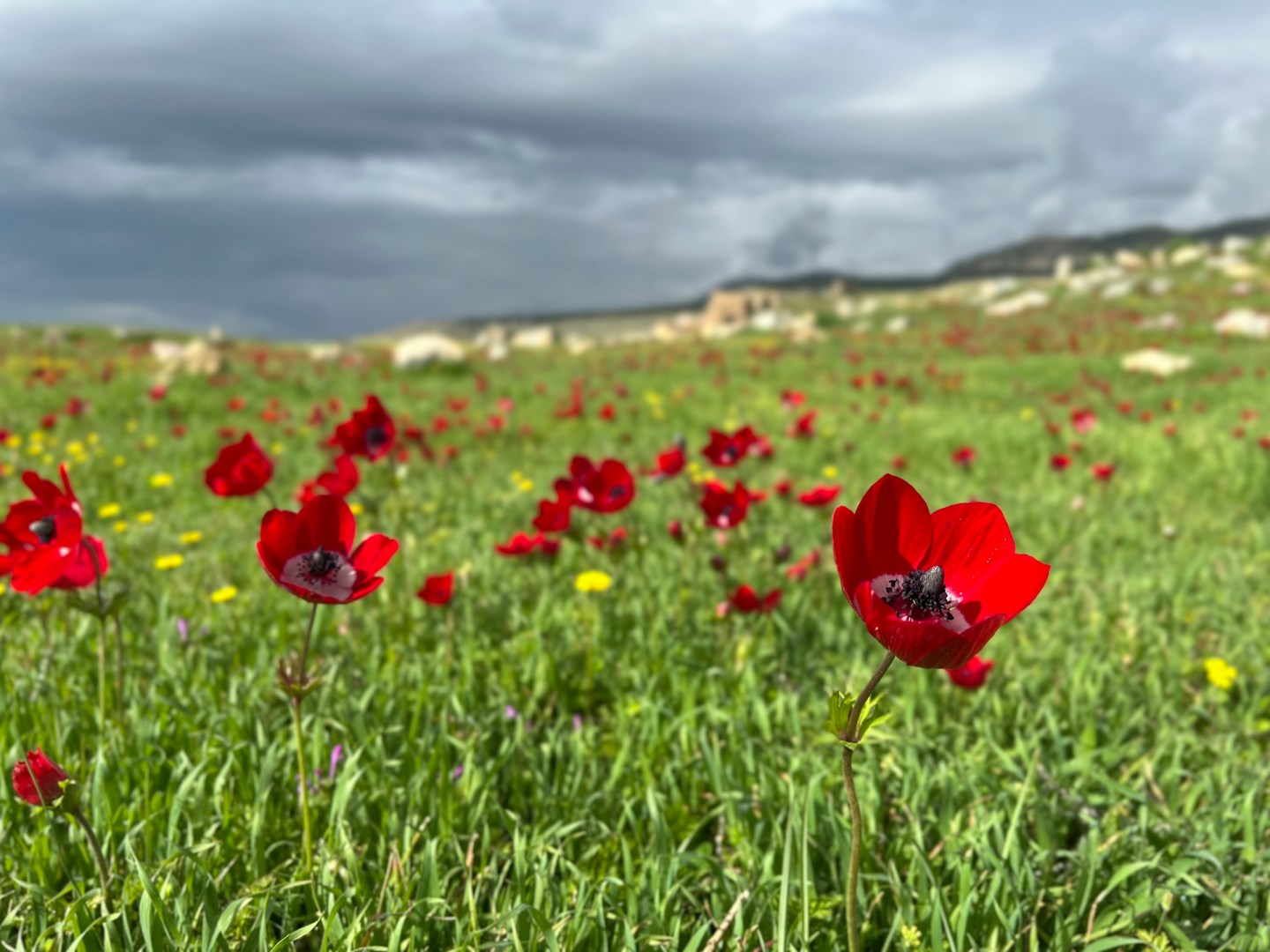  Photo Credit: Photo by Sagar Patel on Unsplash