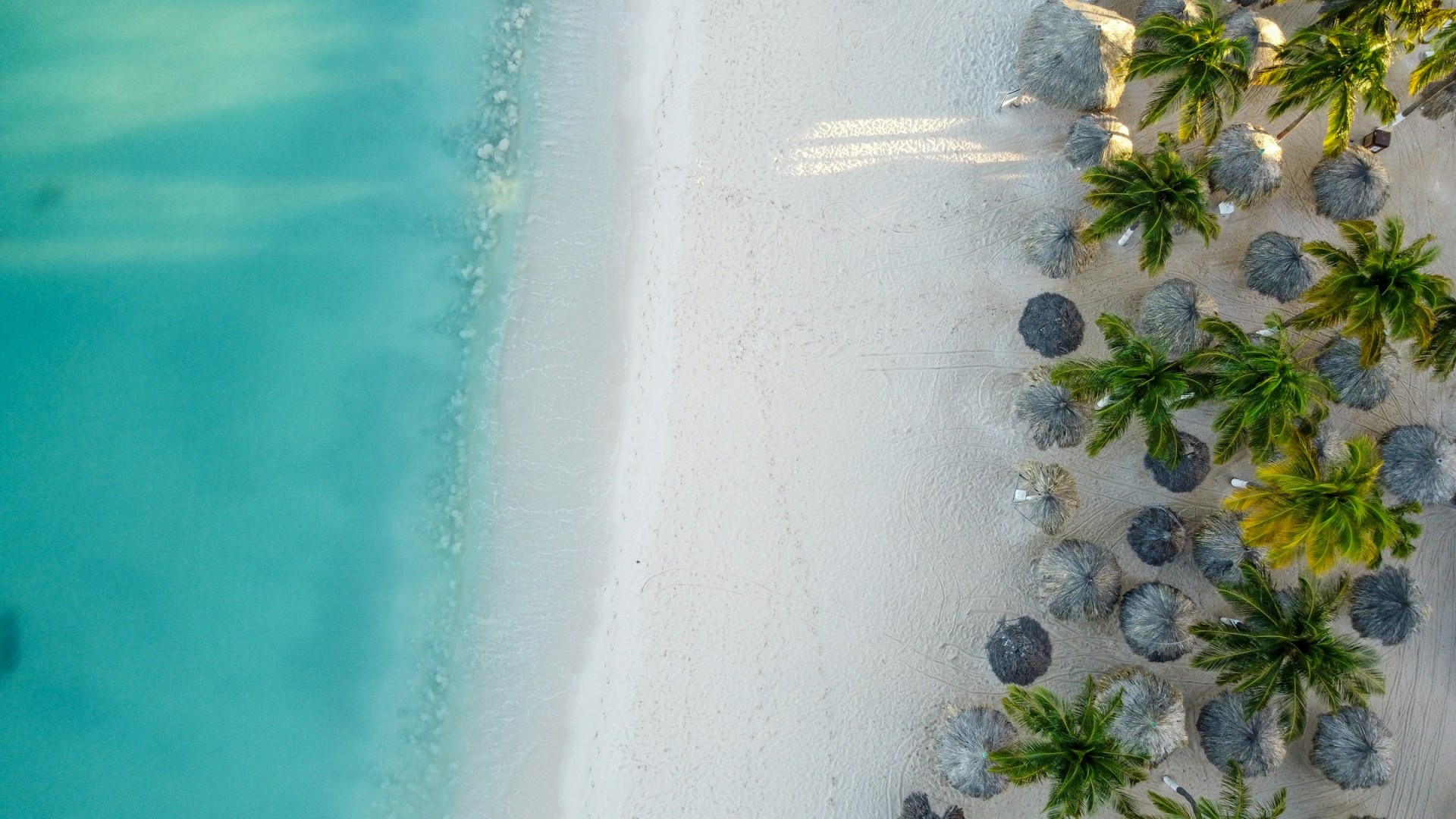  Photo Credit: Photo by Lex Melony on Unsplash