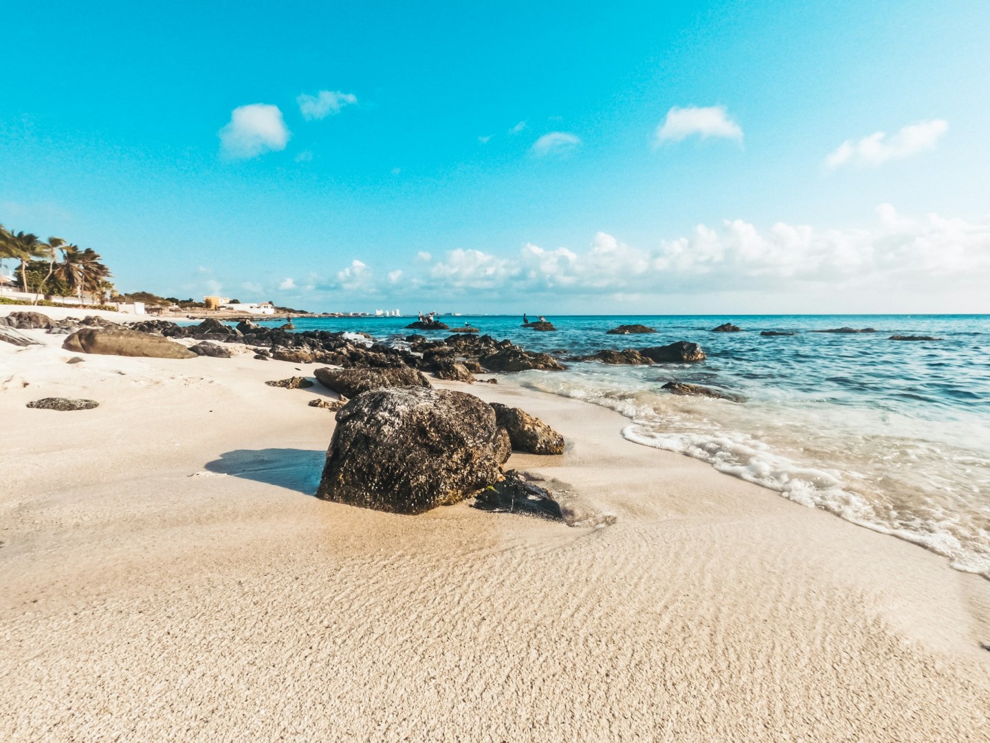  Photo Credit: Photo by Kiril Georgiev on Unsplash