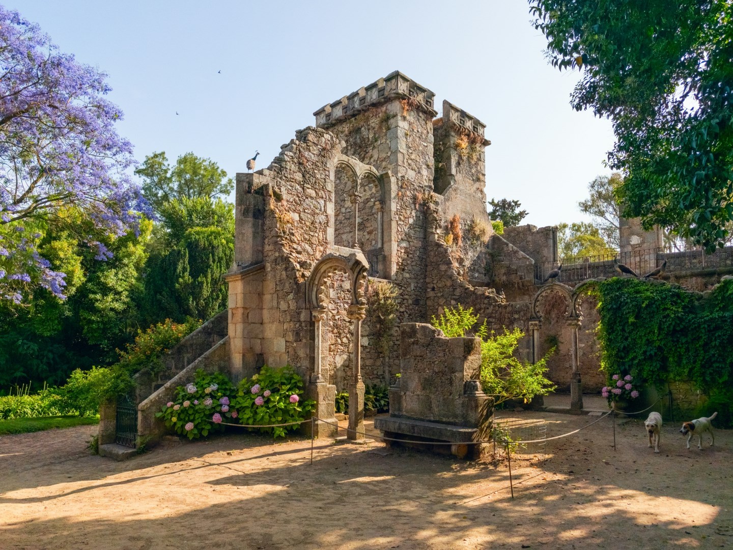  Photo Credit: Photo by Filipe Nobre on Unsplash
