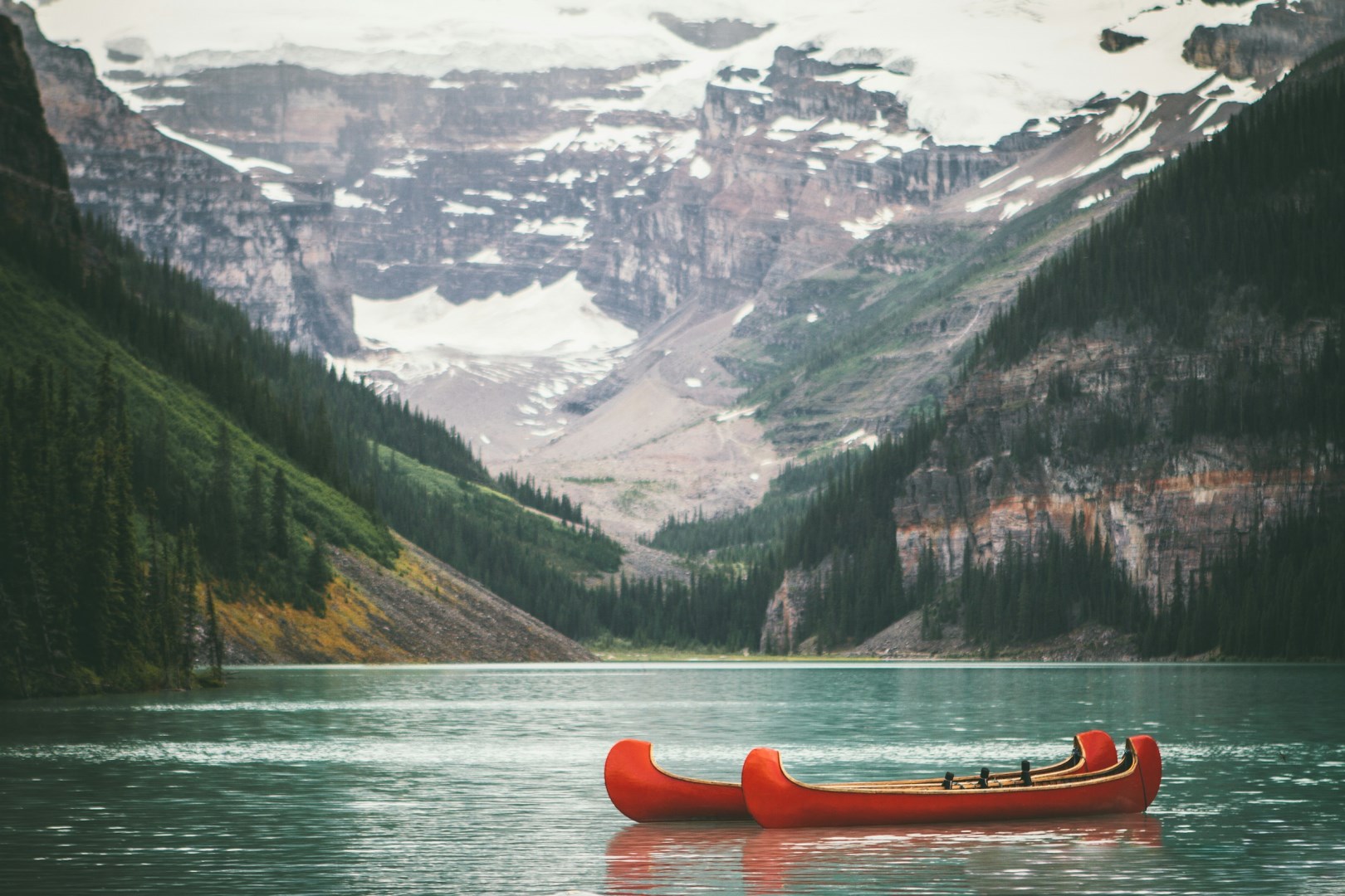  Photo Credit: Photo by Andrew Ly on Unsplash