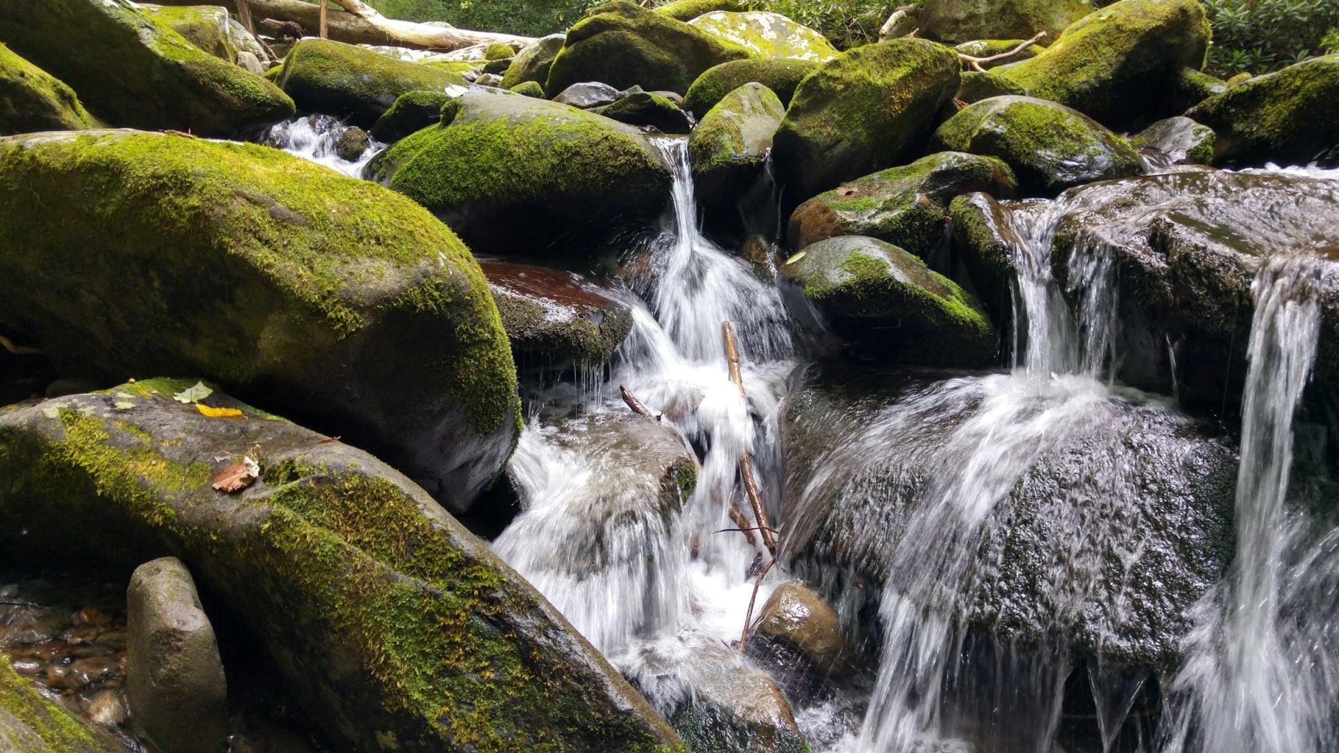  Photo Credit: Photo by Anvesh Uppunuthula on Unsplash