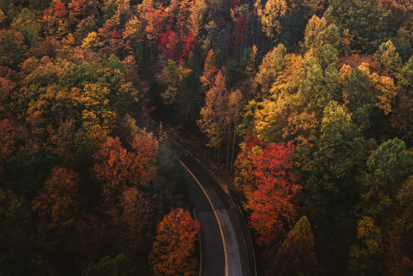  Photo Credit: Photo by Chad Madden on Unsplash