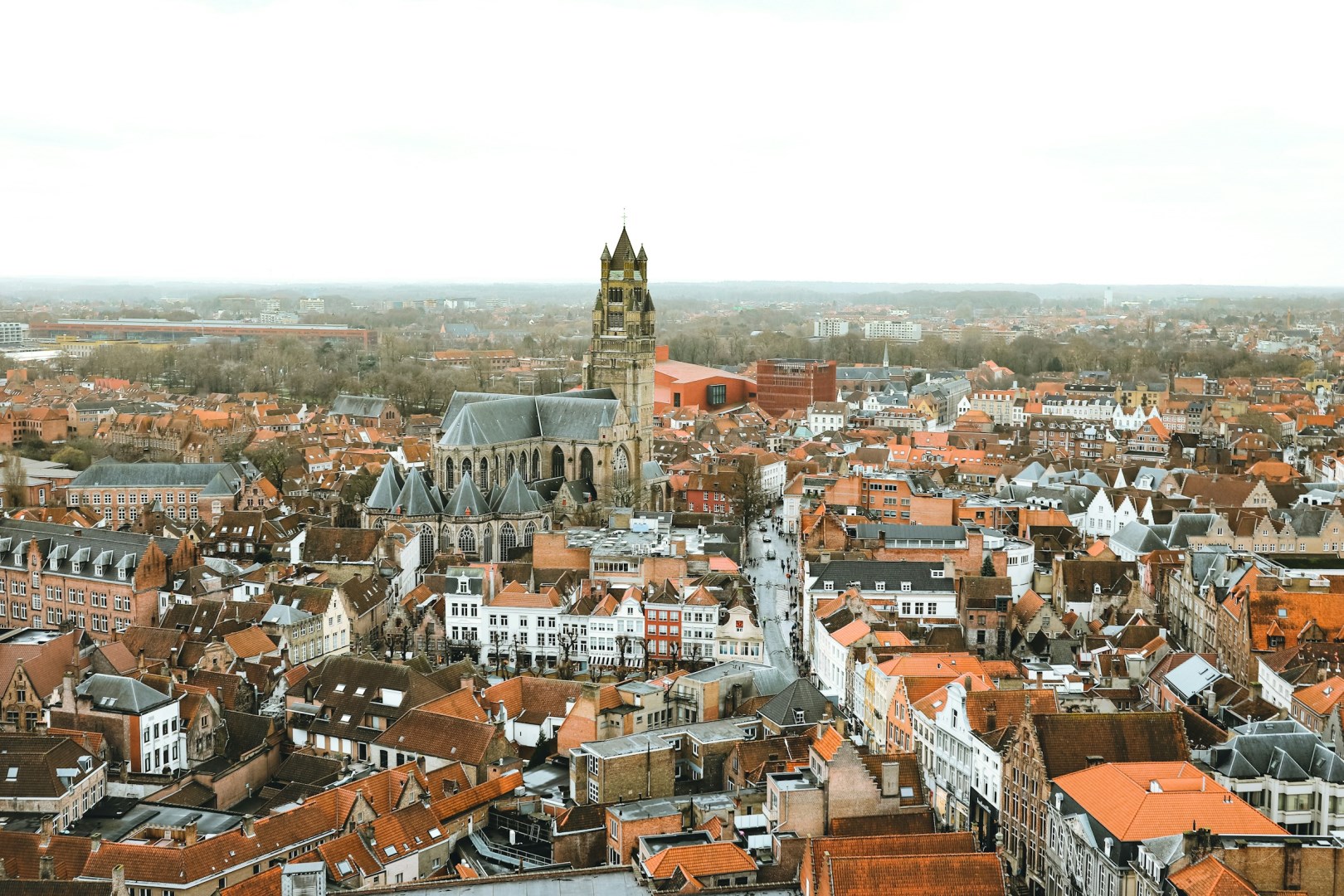  Photo Credit: Photo by Olga Subach on Unsplash