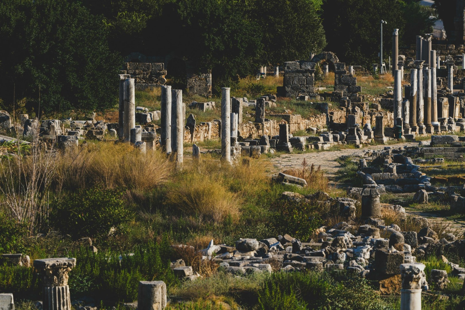 Perge