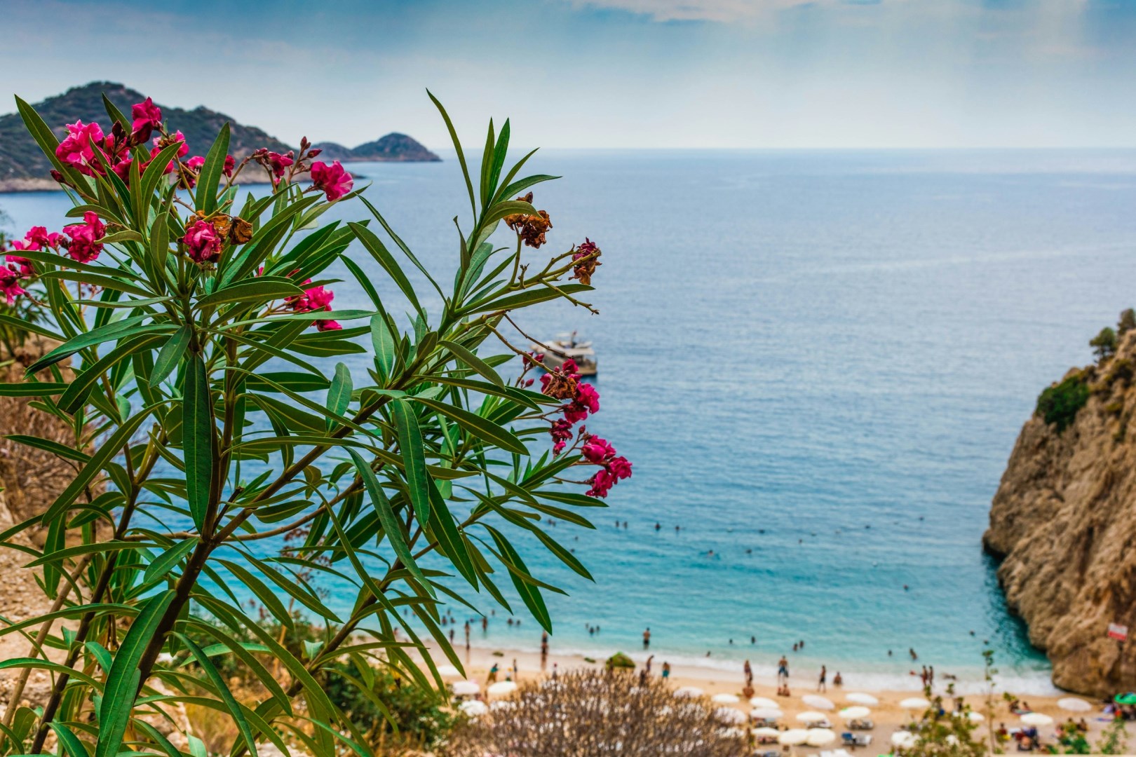 Kalkan