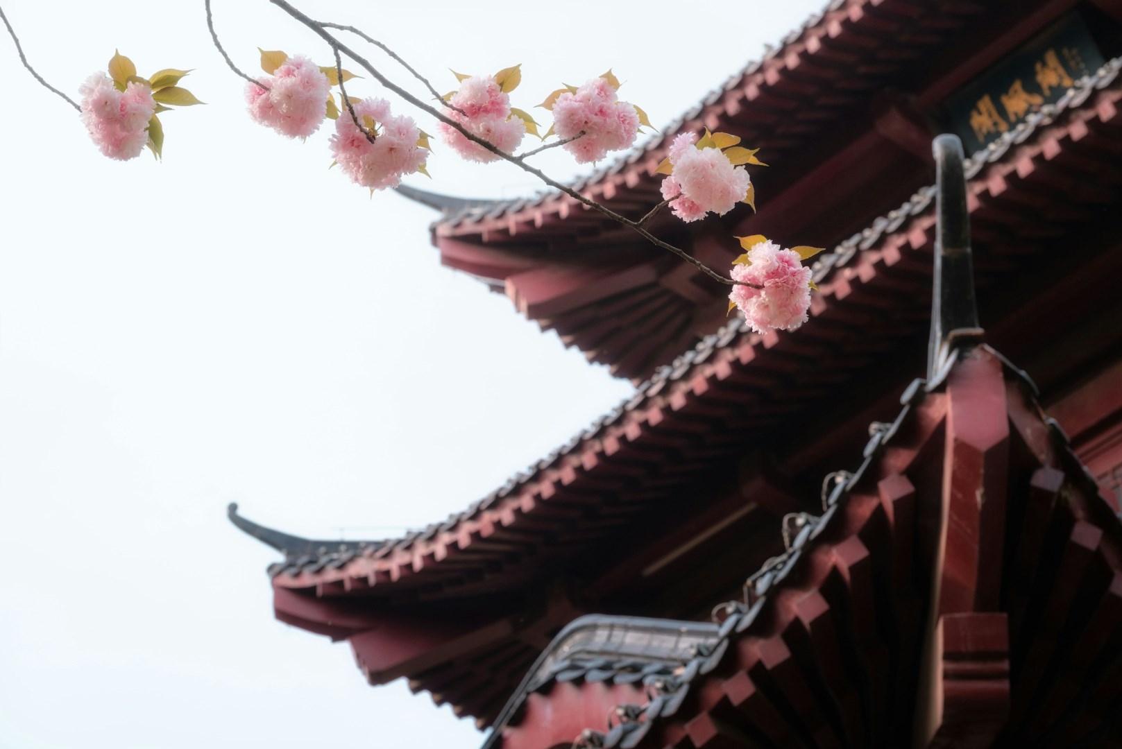  Photo Credit: Photo by J DDDD on Unsplash