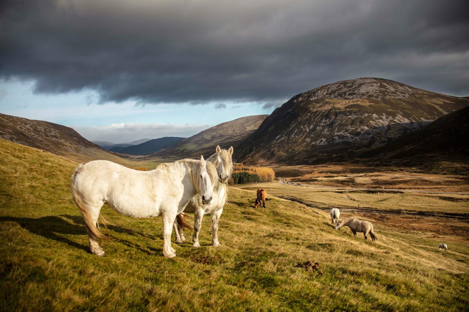 Braemar