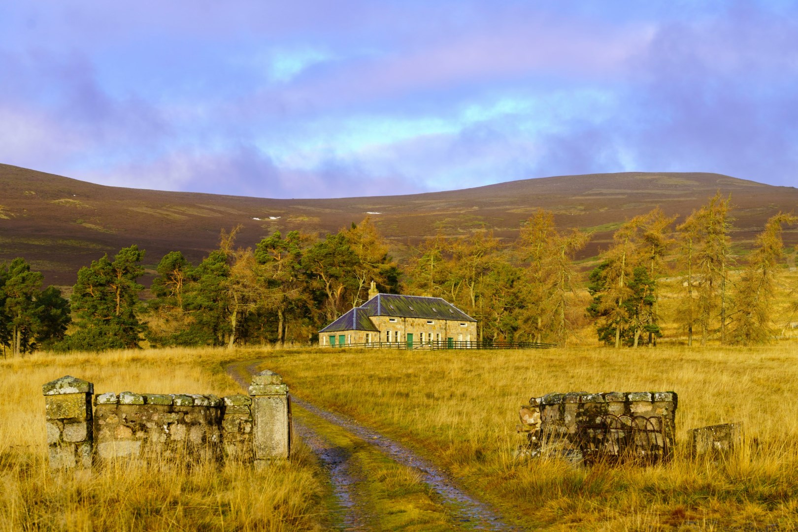  Photo Credit: Photo by martin bennie on Unsplash