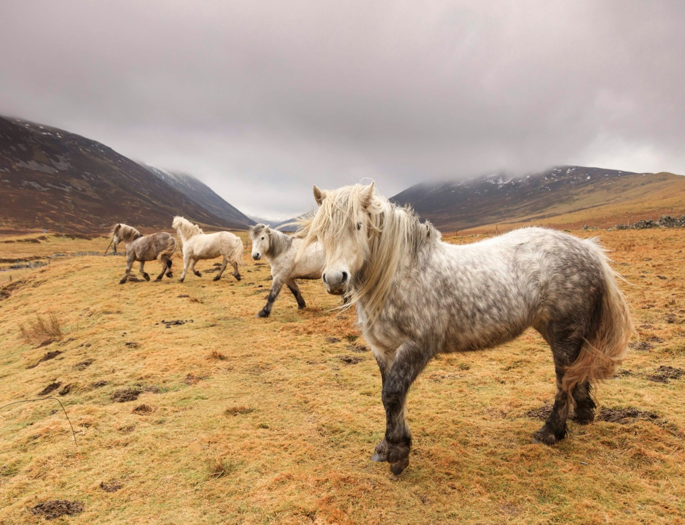  Photo Credit: Photo by martin bennie on Unsplash