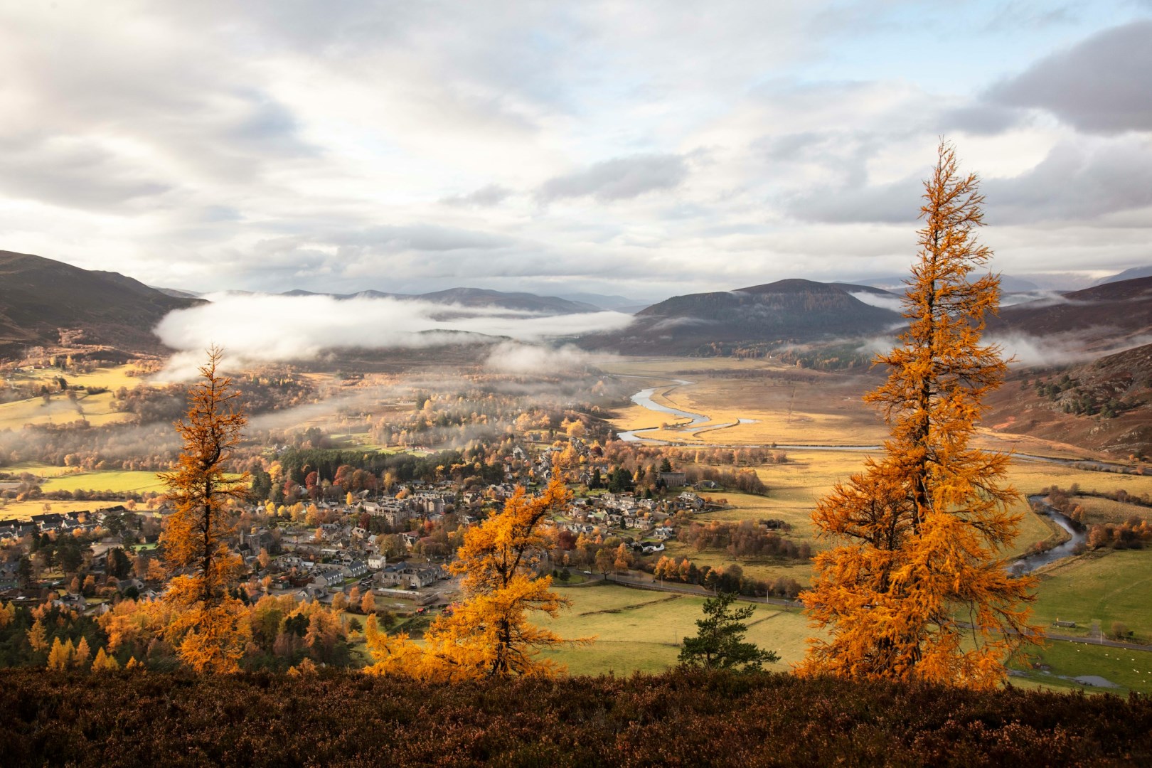  Photo Credit: Photo by martin bennie on Unsplash